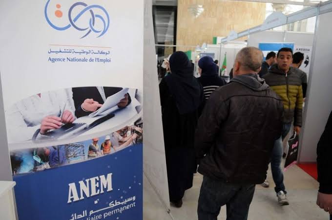 Banner ANEM / Algeria / Public employment and labor-market intermediation agency