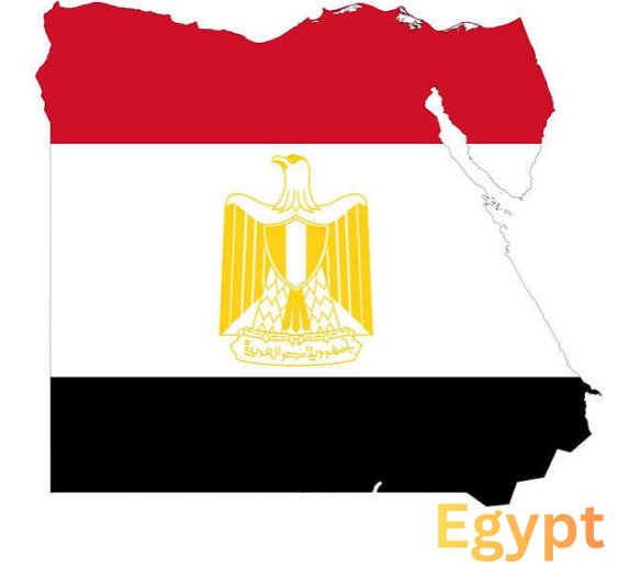 Banner C’est La Vie Tours / Egypt / Travel Agency and Tourism Services