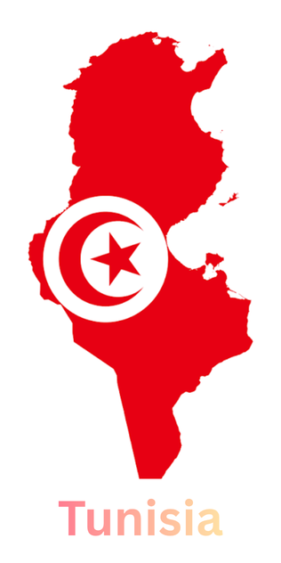 Banner COMPTOIR NATIONAL DU PLASTIQUE / Tunisia / Plastic products and flexible packaging manufacturing