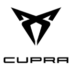 Business_Team_single