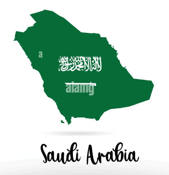 Banner DELEX / Saudi Arabia / Logistics, Delivery and E-Commerce Fulfillment Services
