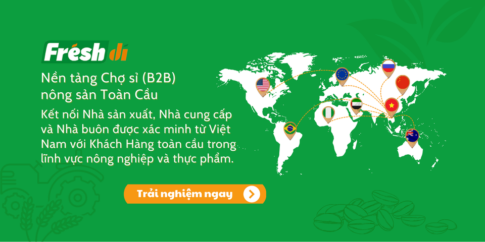 Banner Freshdi (Vietnam) – AI-Powered B2B E-commerce Platform.