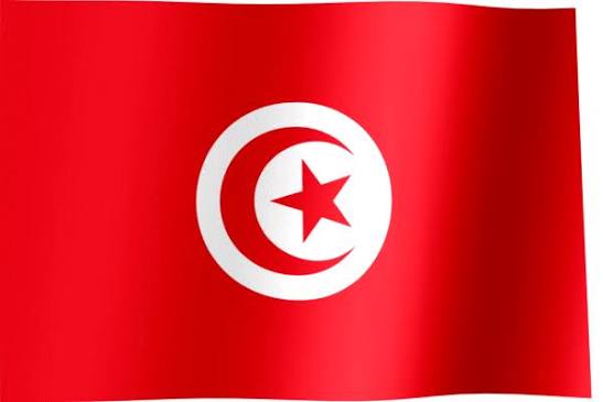 Banner Mediterranean Feed Industry (MFI)/tunisia