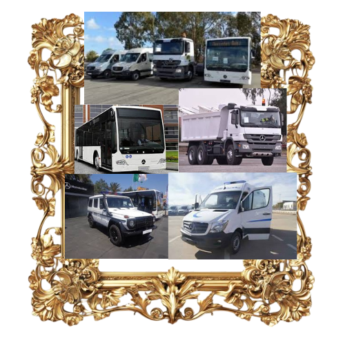 Business_Team_single